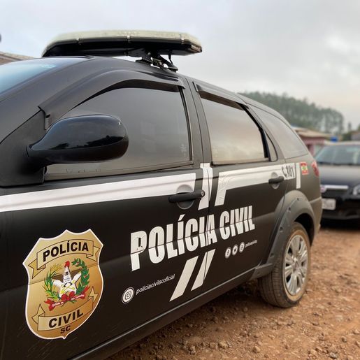 Polícia Civil recupera carga furtada e chega a autor de receptação em Riqueza