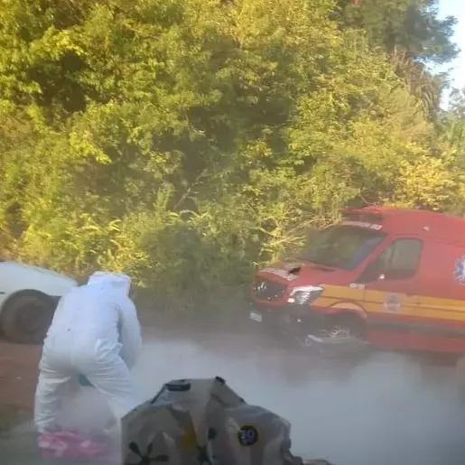 Homem atacado por enxame de abelhas segue internado em estado grave