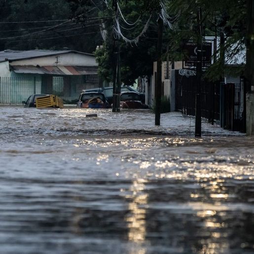 Rio Grande do Sul investiga mais de 800 casos de leptospirose