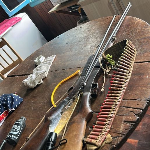 Polícia Civil apreende armas e munições após prisão por violência doméstica em Riqueza