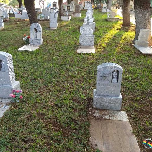 Apenas 2% dos notificados compareceram para manutenção de sepulturas