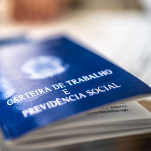 Comércio e serviços concentram 64% da população ocupada em SC