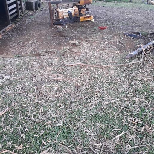 Jovem morre em tombamento de trator no Oeste