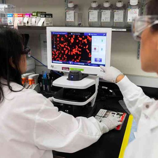 CORONAVÍRUS: Os detalhes das sete vacinas em testes no mundo