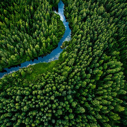 Conder realiza estudo ambiental após mudança na lei de preservação