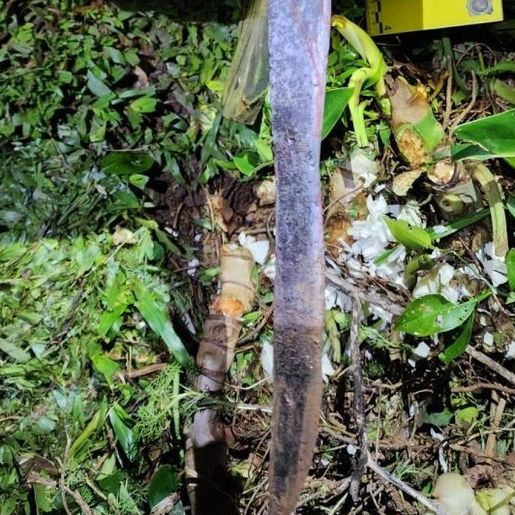 Polícia Civil finaliza investigação do feminicídio registrado em Maravilha