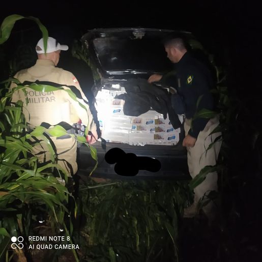 Operação apreende 14.900 maços de cigarro contrabandeados na SC 161