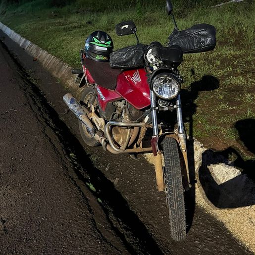 Bezerros invadem a pista e causam acidente na Willy Barth