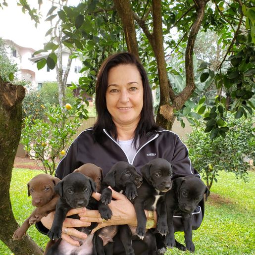 Dia do Voluntário: Uma vida dedicada a cuidar dos animais