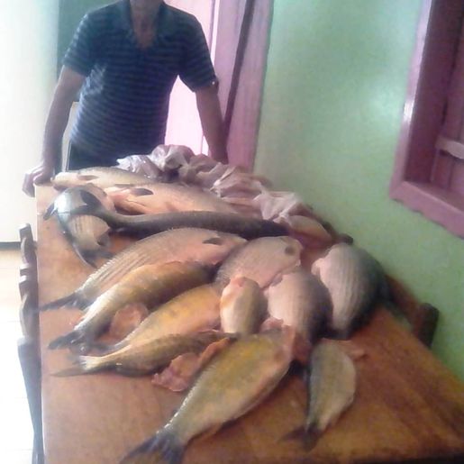 Pescador de Mondaí relata rotina e desafios do profissional