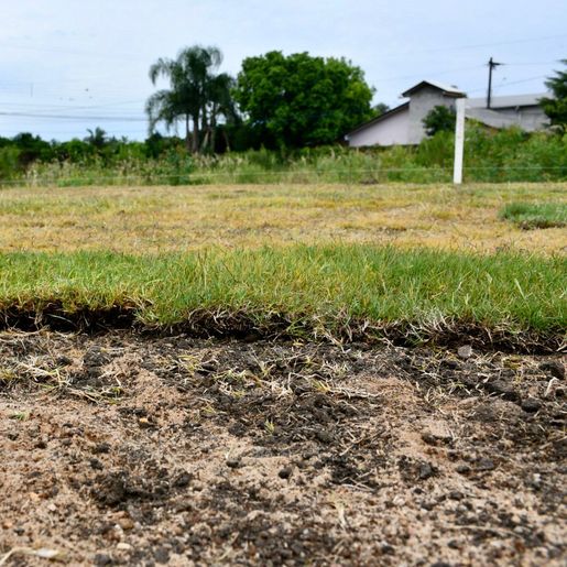 Complexo Educacional Olímpio Dal Magro recebe plantio do novo gramado