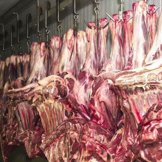 Após decisão da China, quatro países retiram embargo à carne brasileira