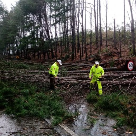 VÍDEO: Governo de SC atua para minimizar danos de ciclone extratropical