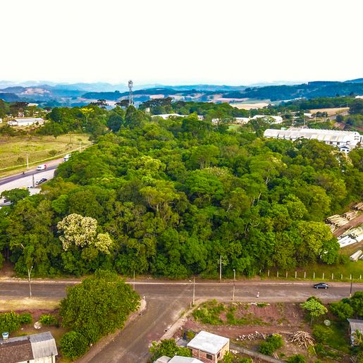 Reunião reacende instalação da Havan em São Miguel do Oeste; ouça
