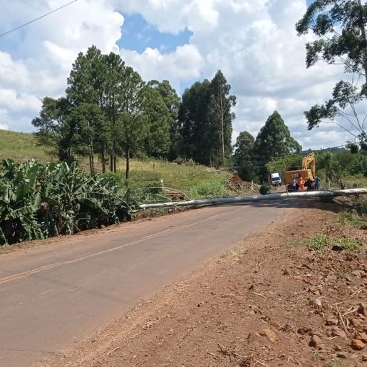 Queda de árvore causa interrupção de energia em parte de Campo Erê e região