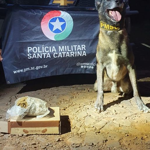 Jovem casal é preso com drogas em operação da PM em Dionísio Cerqueira