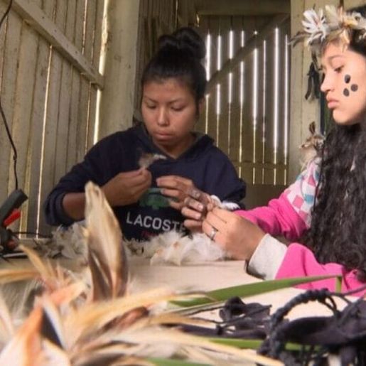 População indígena catarinense é de maioria evangélica, indica IBGE