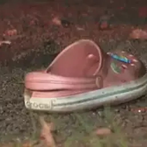 Menina de 6 anos morre ao ser baleada dentro de carro em SP