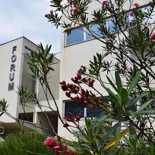 Filho que furtou a arma do chefe e matou o pai é condenado em SC