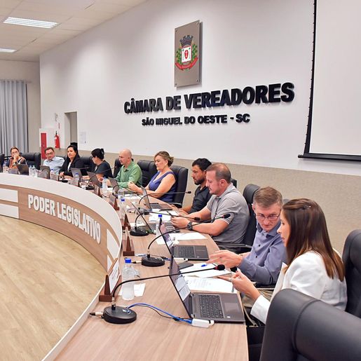 Vereadoras sugerem melhorias na iluminação pública e no trânsito em SMO