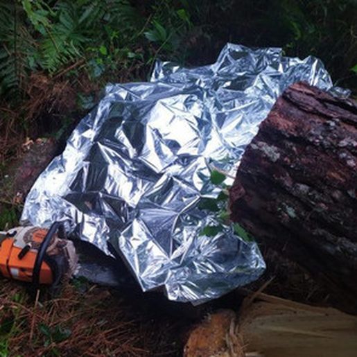 Homem morre ao ser atingido por árvore durante trabalho