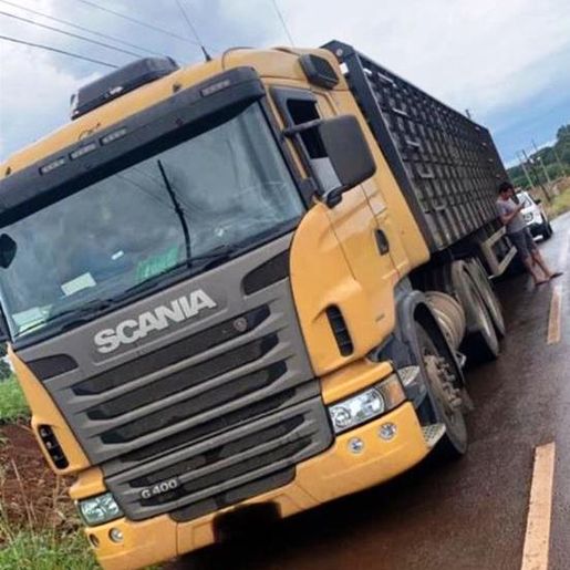 Caminhão com 28 bovinos clandestinos é apreendido em Princesa