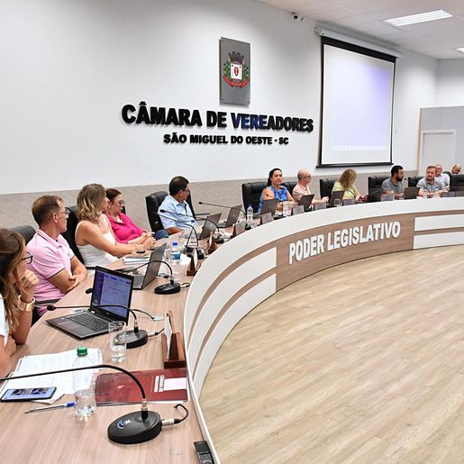 Câmara aprova projeto que reconhece Instituto Recomeçar Mulher como utilidade pública em SMO