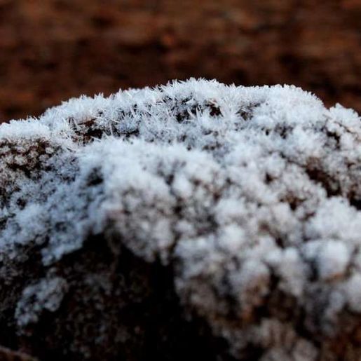 Fim de semana será de temperaturas negativas, geada e nevoeiro em SC