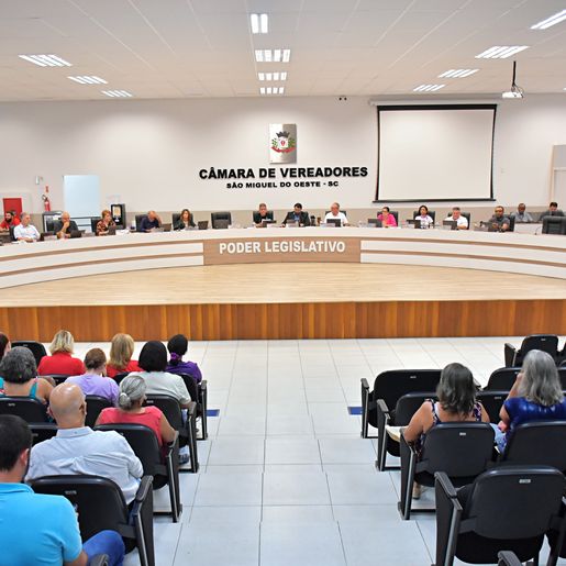 Projeto institui Programa Antonieta de Barros na Câmara de Vereadores