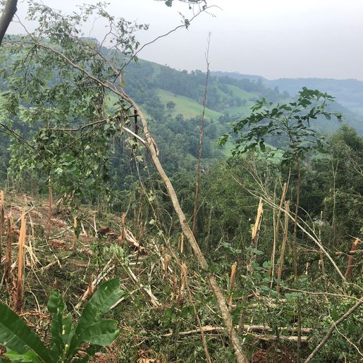 Ventos fortes causam grande destruição no interior de Iporã do Oeste