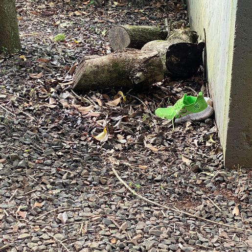 Homem é encontrado com mais de 30 facadas às margens da BR-282 em SMO