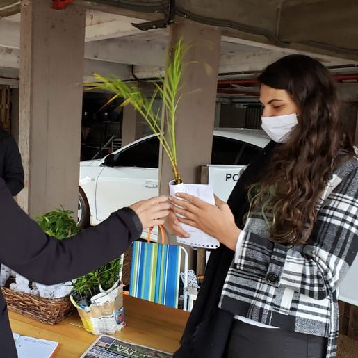 Entrega de mudas de árvores nativas marca Dia Mundial do Meio Ambiente em Iporã do Oeste