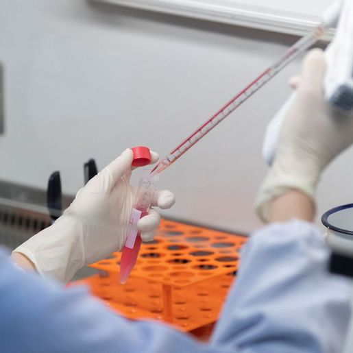 Estados e municípios receberam mais de R$ 7 bi para combater pandemia