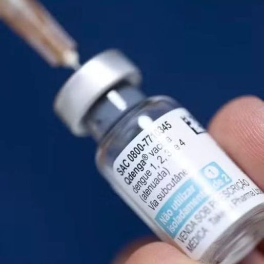 Cobertura vacinal contra a dengue em SC chega a 27% em cinco meses