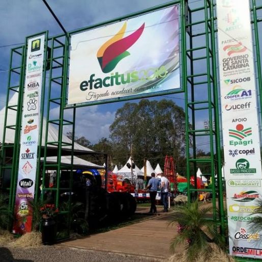 Lançamento Oficial da 14ª Efacitus será na próxima semana