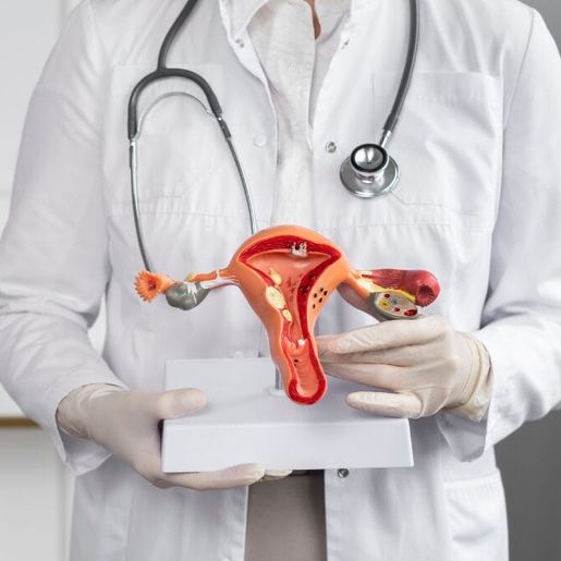 SC receberá R$ 10,9 milhões em investimentos federais voltados à saúde da mulher no SUS