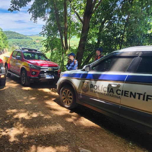 Corpos de duas crianças são encontrados sem vida no interior