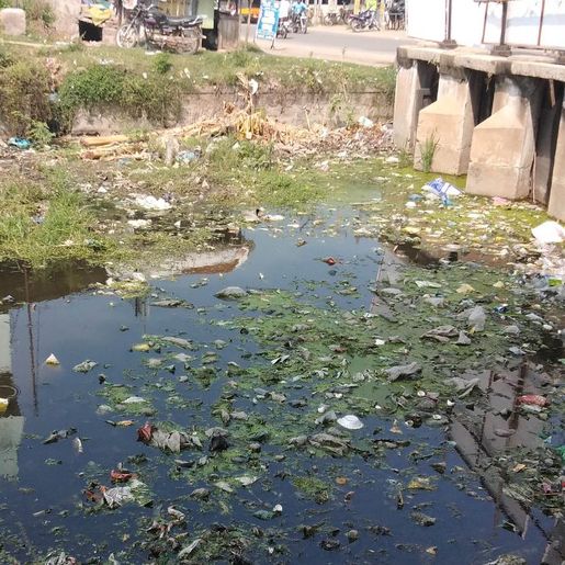 Falta de banheiros e sanitários afeta quase 2 mil moradores de SC, diz IBGE