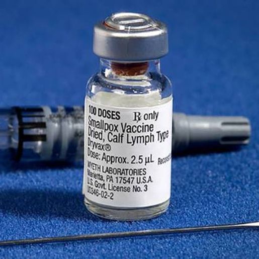 Brasil vai receber 50 mil doses da vacina contra a varíola do macaco