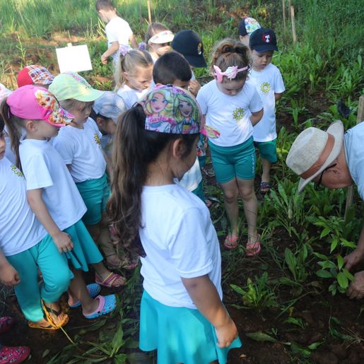 Alunos fazem visita ao Lago Municipal e participam de plantio de árvores em Cedro