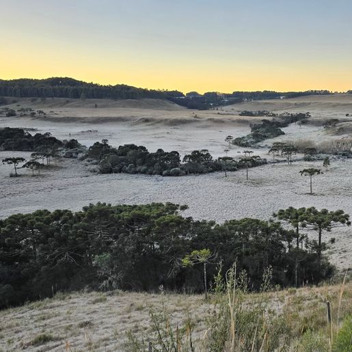 Sol e baixas temperaturas marcam a previsão do tempo desta quinta