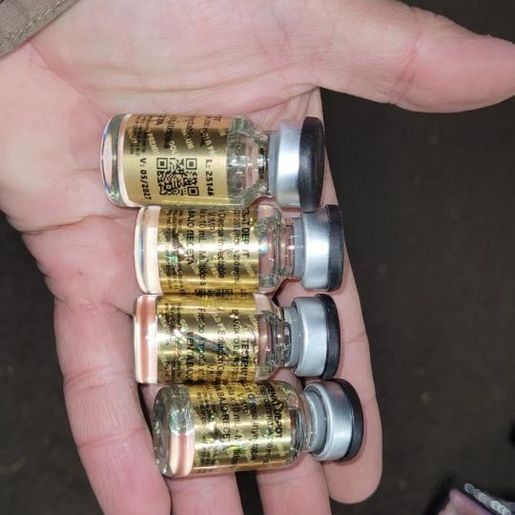 PM apreende carga de celulares e anabolizantes avaliada em R$ 30 mil em SMO