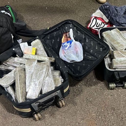 Cadela “Quântica” da PRF localiza maconha em ônibus na BR-163 em Guaraciaba