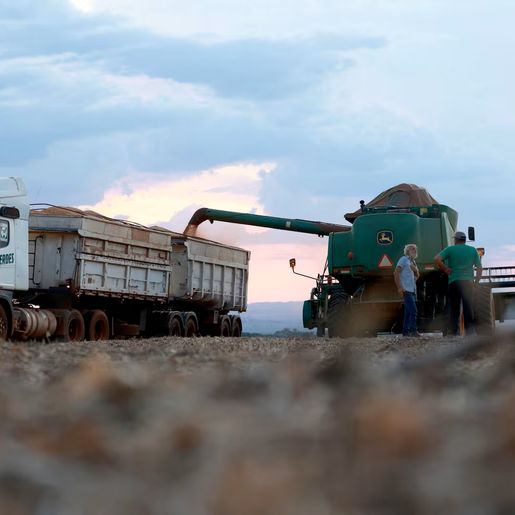 Brasil terá novas regras para entrada de produtos agropecuários