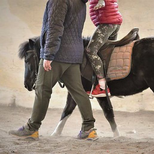 APAE aguarda liberação de recursos para implantar equoterapia