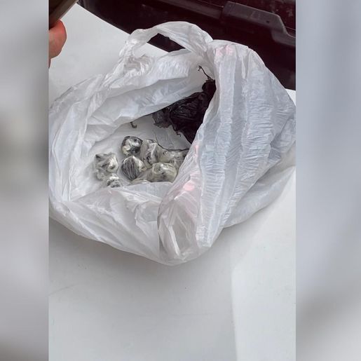 Polícia prende motociclista com 50g de cocaína na BR-282, em SMOeste