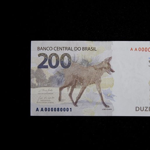 FOTOS: Banco Central lança nota de R$ 200, com imagem de um lobo-guará