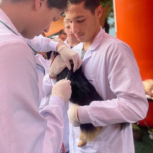 ASANIO realiza nova campanha de Vacinação Antirrábica nesta quinta feira em Iporã do Oeste