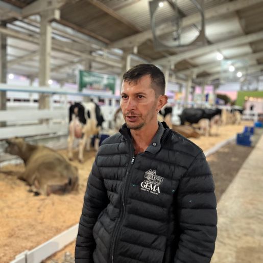 Faismo começa a receber animais para o torneio leiteiro