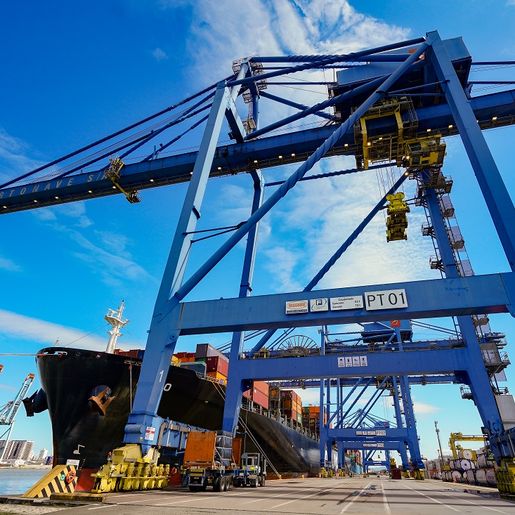 Santa Catarina é líder nacional em exportação de madeira e móveis